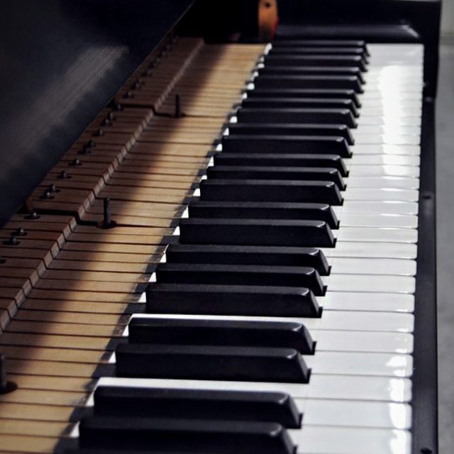 Close-up of piano keys
